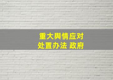 重大舆情应对处置办法 政府